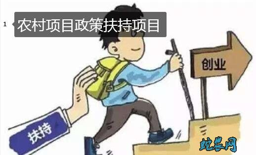 农村项目政策扶持项目?今年国家政策扶持农业项目有哪些?