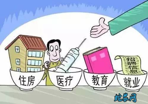 农村项目政策扶持项目?今年国家政策扶持农业项目有哪些?