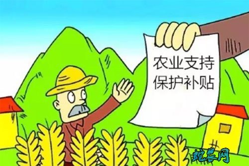 农村项目政策扶持项目?今年国家政策扶持农业项目有哪些?