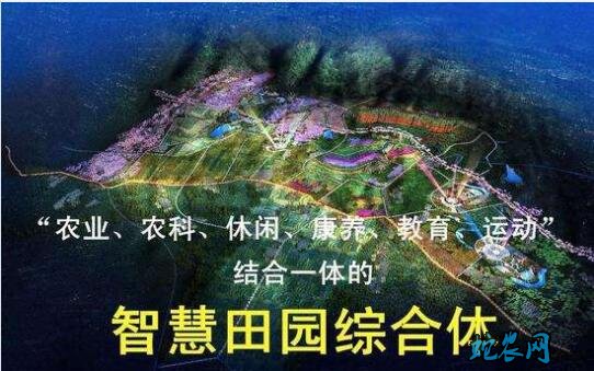 2020国家扶持十大项目?适合农村人做!