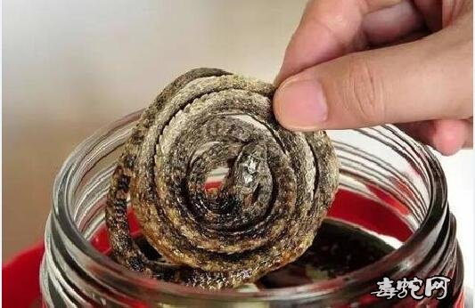 泡蛇酒用活蛇还是死蛇?