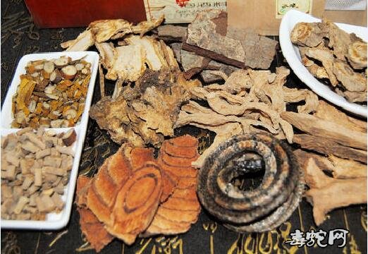 泡蛇酒、泡蛇酒用什么药材最好?