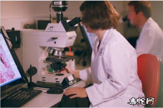 蛇毒的作用、蛇毒在临床上的主要功效与作用?