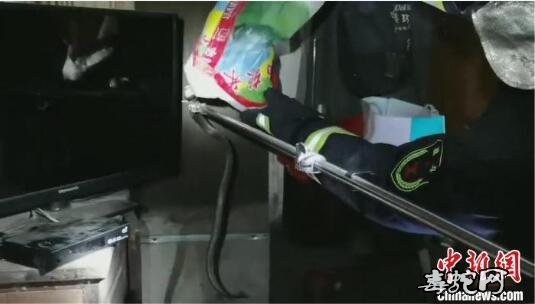惠州一村民半夜家中现毒蛇!消防支队抓捕眼镜蛇现场图!