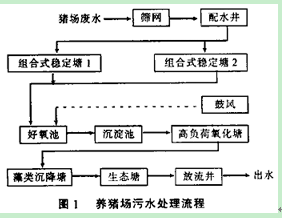 养猪污水处理图片