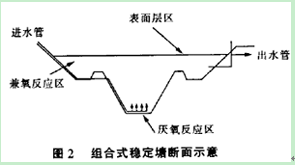 养猪污水处理图片