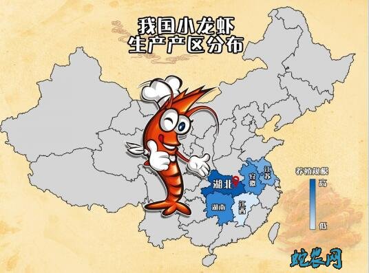 批发小龙虾、批发小龙虾哪里进货?