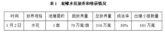 大泥鳅养殖图片3