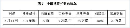 大泥鳅养殖图片6