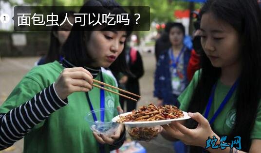 面包虫人可以吃吗图片1