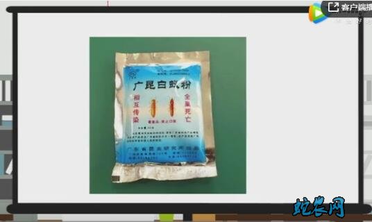 怎样消灭白蚂蚁