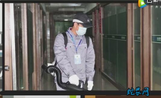 怎样消灭白蚂蚁图片8