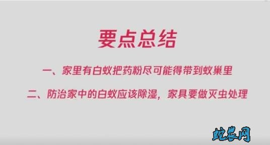 怎样消灭白蚂蚁图片10