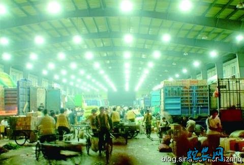 苏州南环桥市场:牛蛙价格涨幅明显 比上周涨幅达49%!