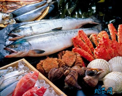 威海水产品市场:休渔期已过半 新鲜大鲳鱼每公斤价格在160-180元!