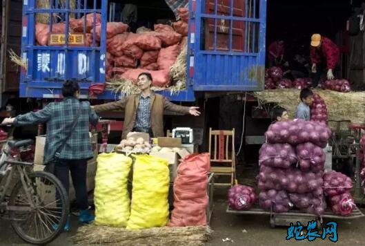 长沙马王堆市场：蔬菜一周行情资讯