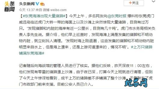 东莞海滩出现大量猪蹄!4