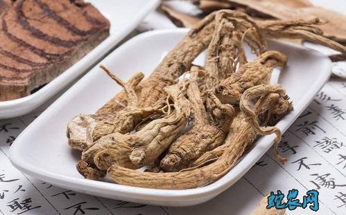 当归功效与作用及禁忌图片2