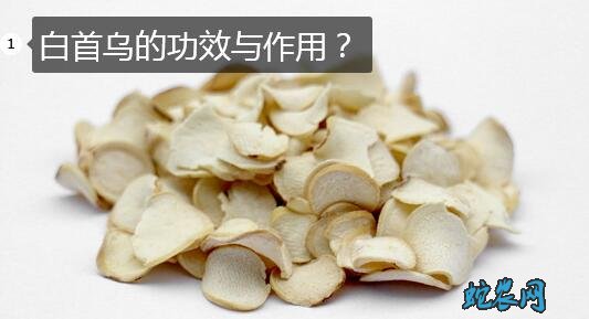 白首乌的功效与作用图1