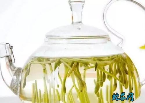 金银花副作用与禁忌症图6