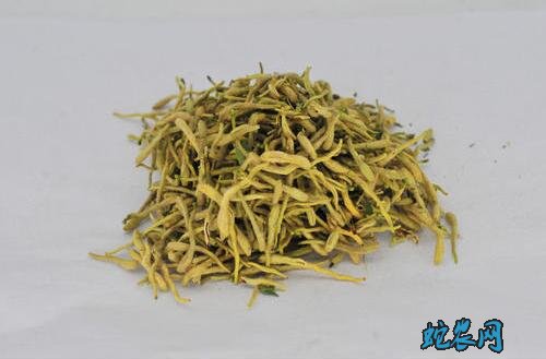 金银花副作用与禁忌症图7