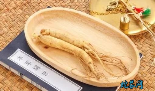 人参的功效图片6