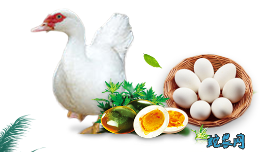 2020年7月14日番鸭蛋价格行情、今日番鸭蛋多少钱一斤？