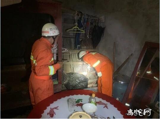 广安“蛇出没”频繁居民要小心!消防警察抓蛇忙不过来!