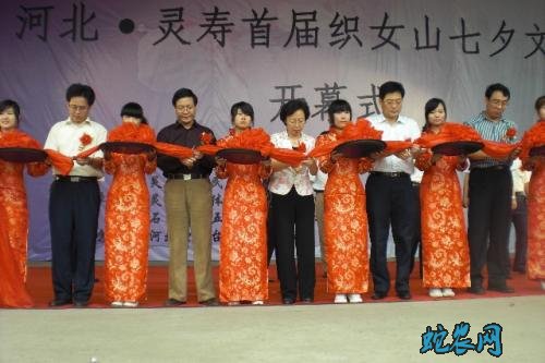 【河北文化习俗】石家庄民俗文化-灵寿七夕节!