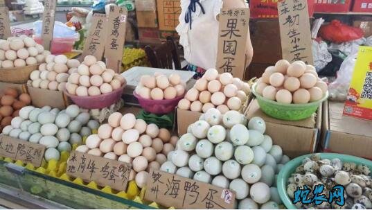 2020年3月现货报价保持稳定 鸡蛋下行空间有限!
