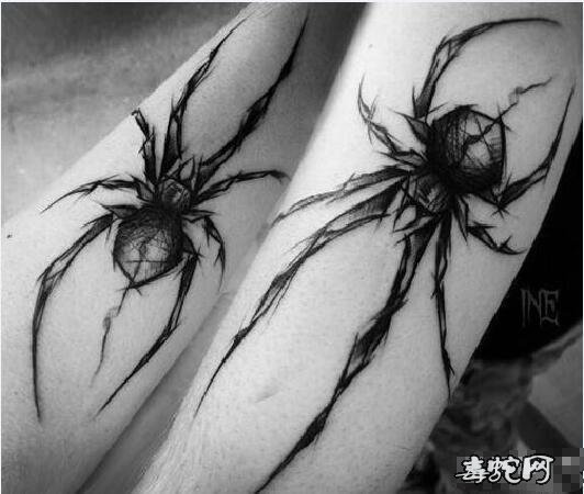 蜘蛛纹身图片8