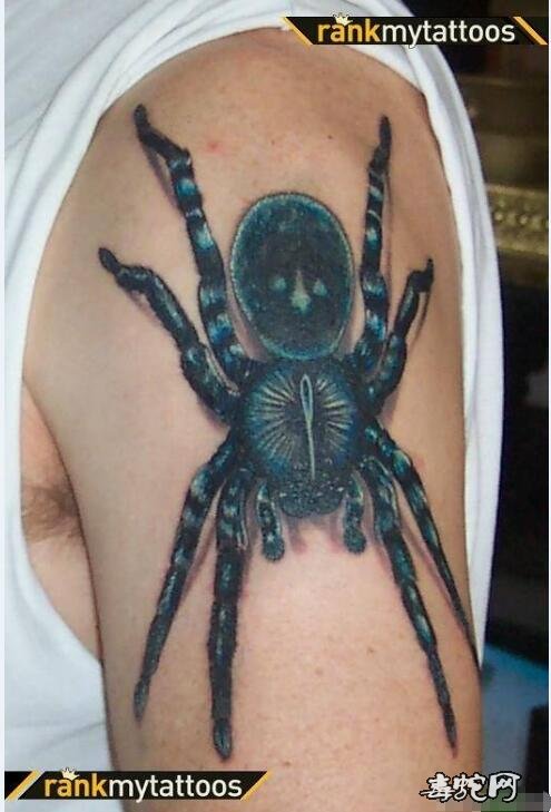 蜘蛛纹身图片15
