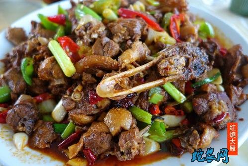 大雁能吃吗?2020疫情后大雁还能养殖食用吗?