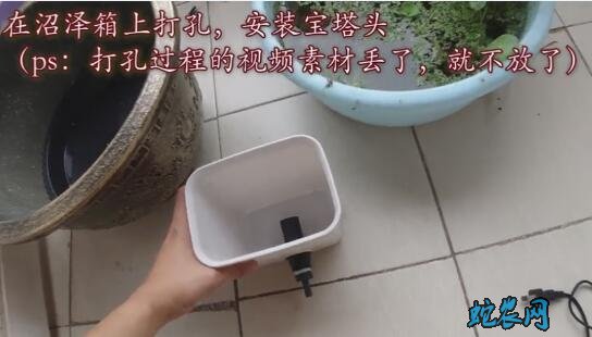 水缸养鱼如何做水循环步骤图2