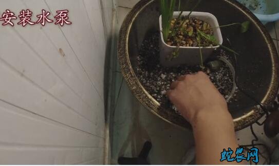 水缸养鱼如何做水循环步骤图10