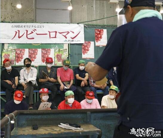 世界上最贵的葡萄诞生!日本一串葡萄拍得130万日元!