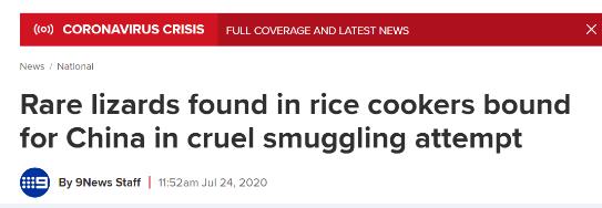 电饭锅藏大批蜥蜴!潍州华人非法藏运大批蜥蜴到中国被抓!