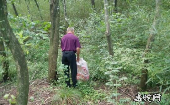 随州禁食野生动物退出处置工作、大洪山林业局再次核查清理养蛇基地
