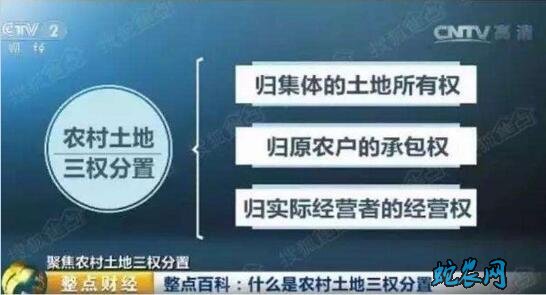 什么是三权分置政策？落实农村土地“三权分置”强化承包经营合同管理！