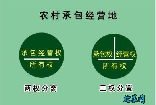 什么是三权分置政策?落实农村土地“三权分置”强化承包经营合同管理!