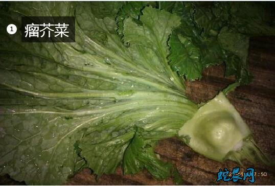 做酸菜的青菜叫什么图片