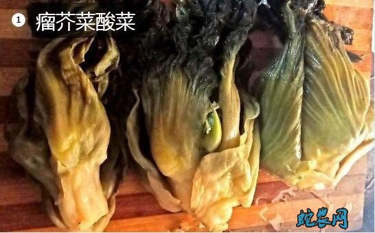 做酸菜的青菜叫什么图片