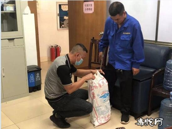 南宁一小区抓住眼镜蛇!专业人员提醒还有毒蛇需注意!