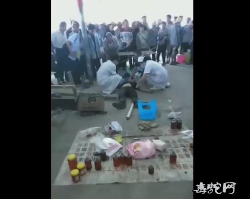 广西来宾一“江湖郎中”卖蛇伤药酒被自带毒蛇咬死！
