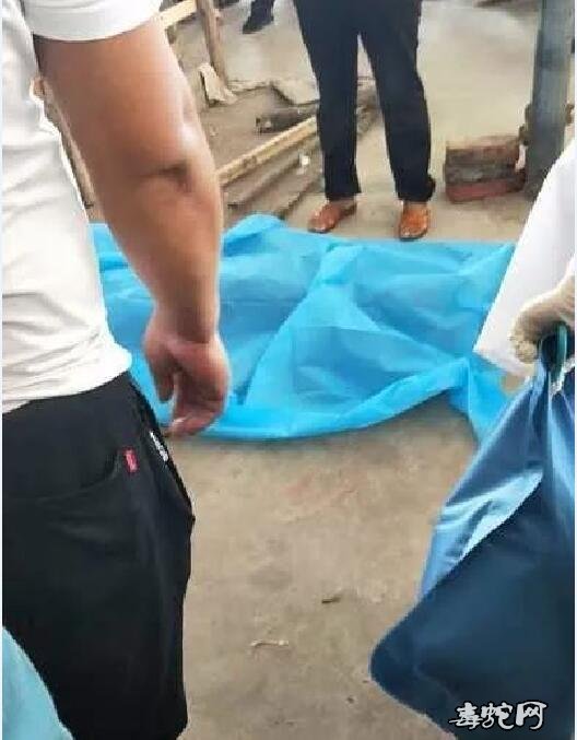 广西来宾一“江湖郎中”卖蛇伤药酒被自带毒蛇咬死！