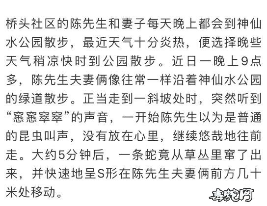 东莞神仙水公园惊现剧银环蛇!