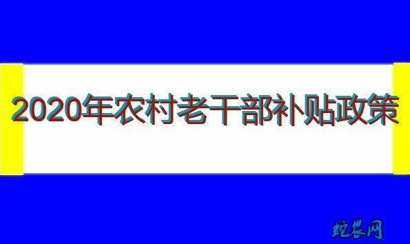 2020年农村老干部补贴政策