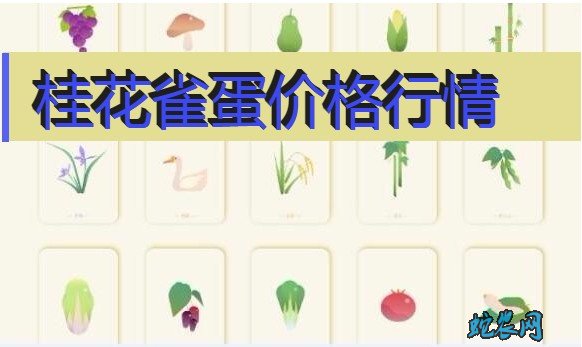 2020年8月4日桂花雀蛋价格行情、今日桂花雀蛋多少钱一斤?