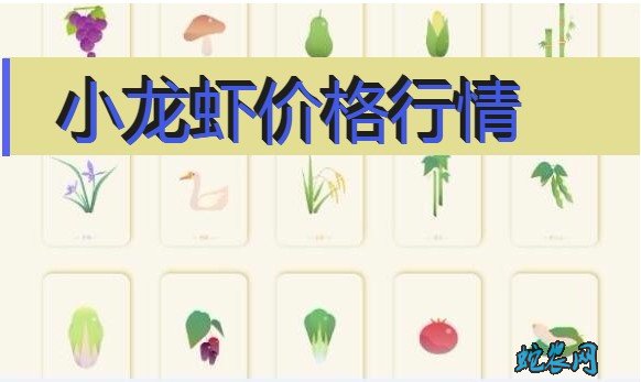 2020年8月4日小龙虾价格行情、今日小龙虾多少钱一斤?