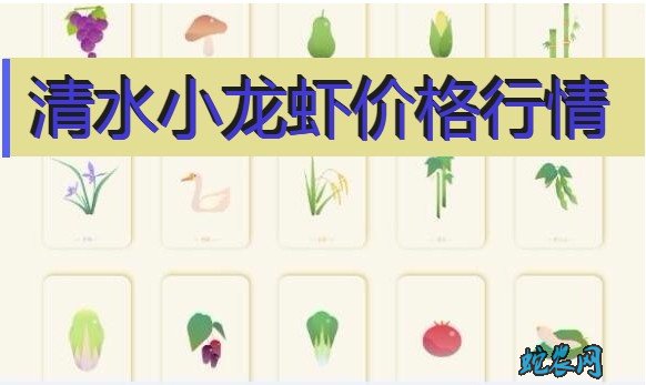 2020年8月4日清水小龙虾价格行情、今日清水小龙虾多少钱一斤?